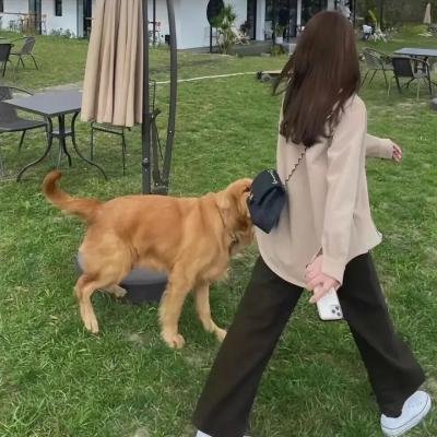 小熊维尼大电影